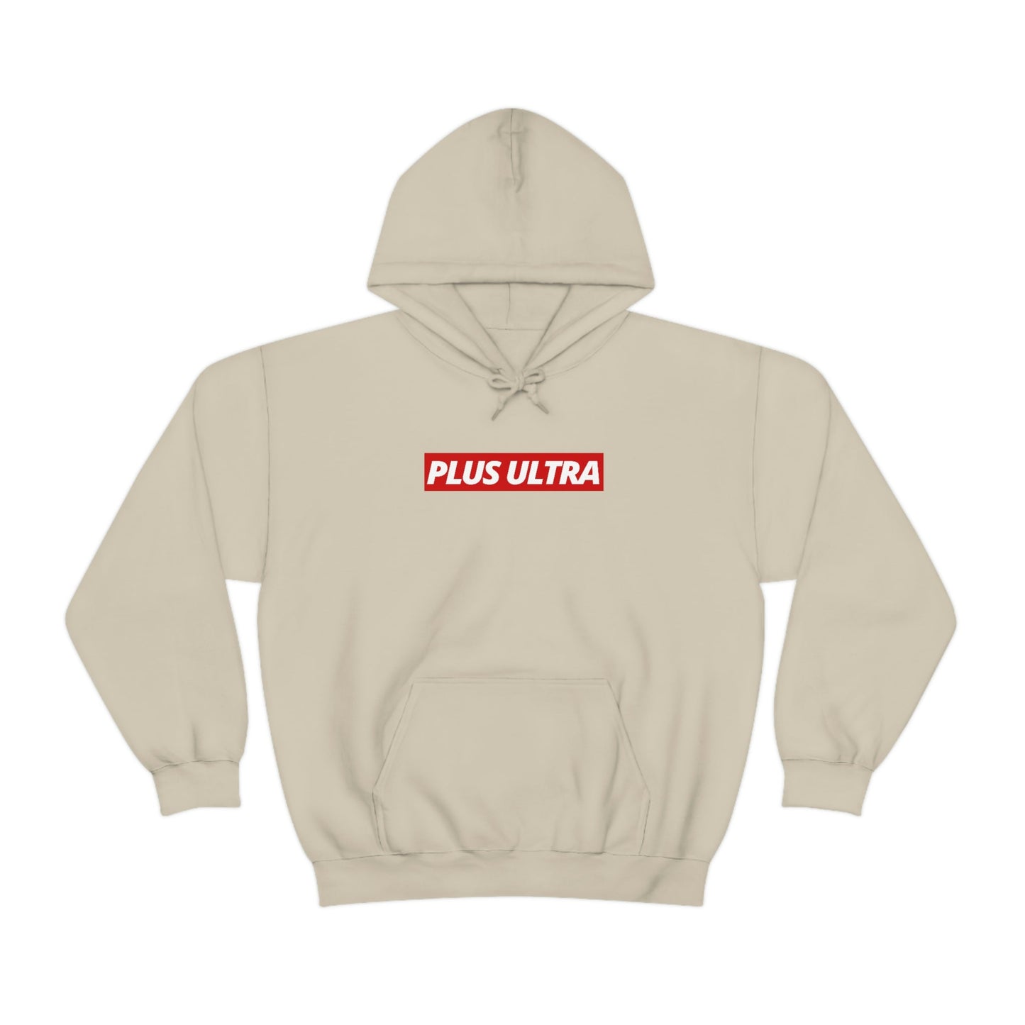 PLUS ULTRA Hoodie - SWIFT - Project NuMa - Hoodie