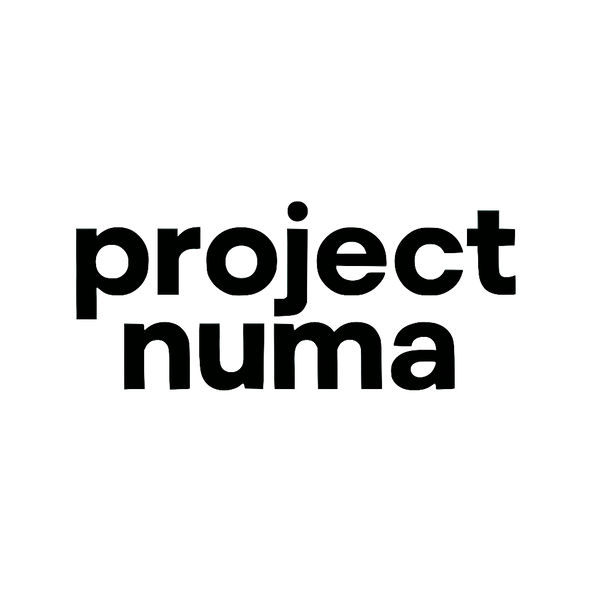 Project NuMa